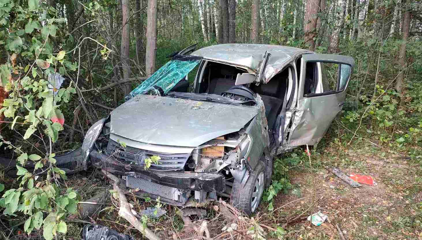 В столкновении автомобиля с деревом на костромской трассе пострадали четыре человека