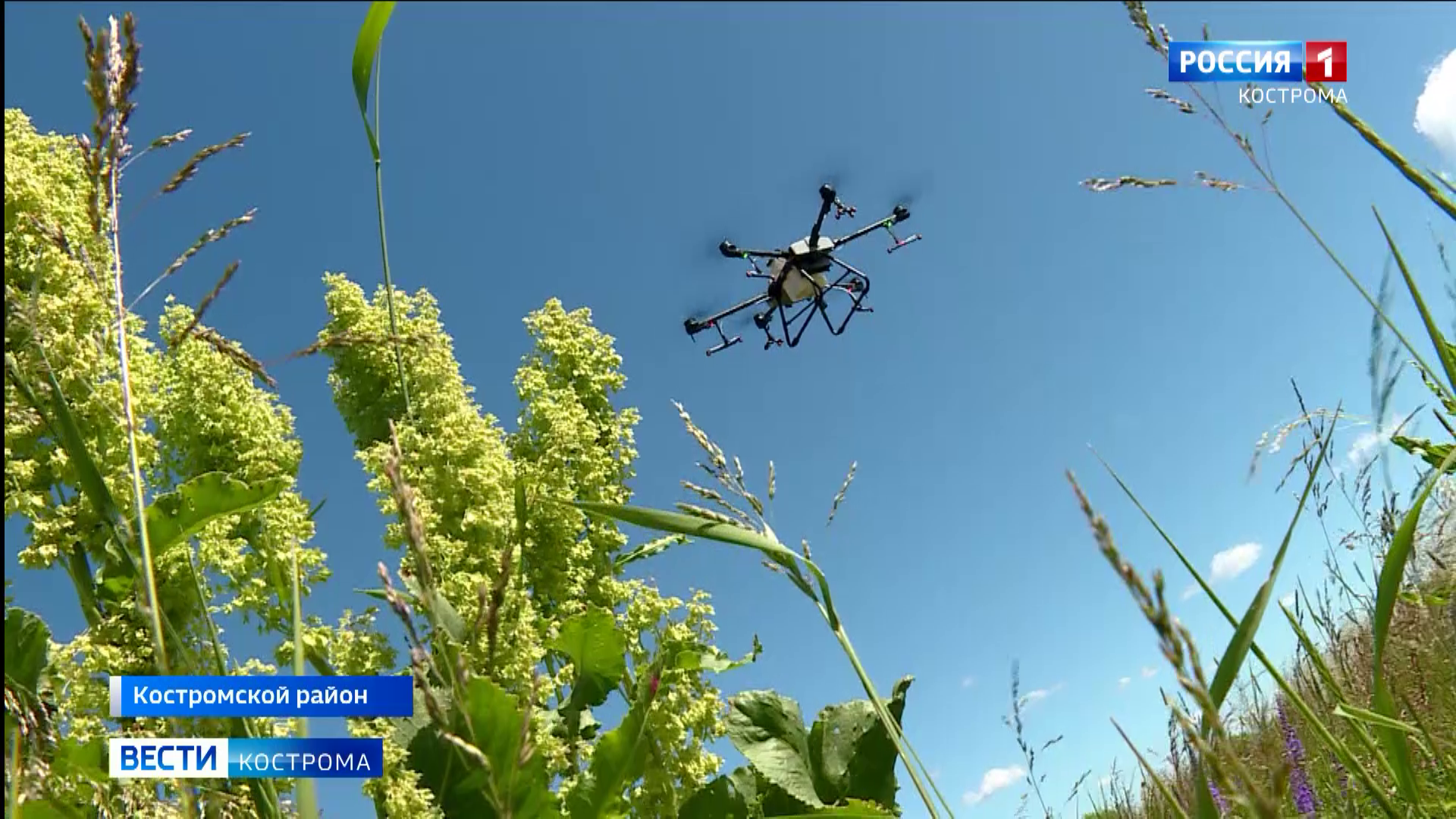 Бороться с вредителями костромским селянам помогут дроны