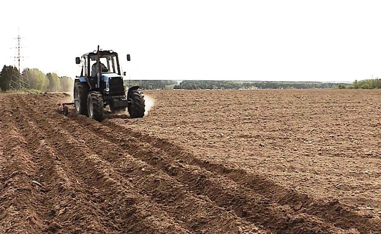 Почти 2 тысячи гектаров аграрных земель ввели в оборот в Костромской области
