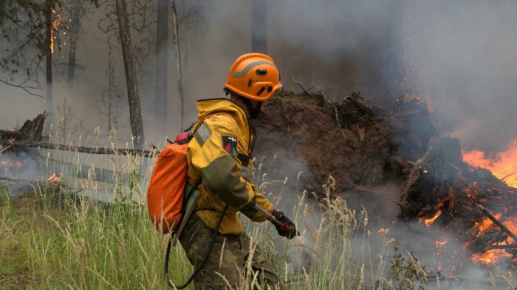 В Костромской области прогнозируют наивысший 5 класс пожарной опасности