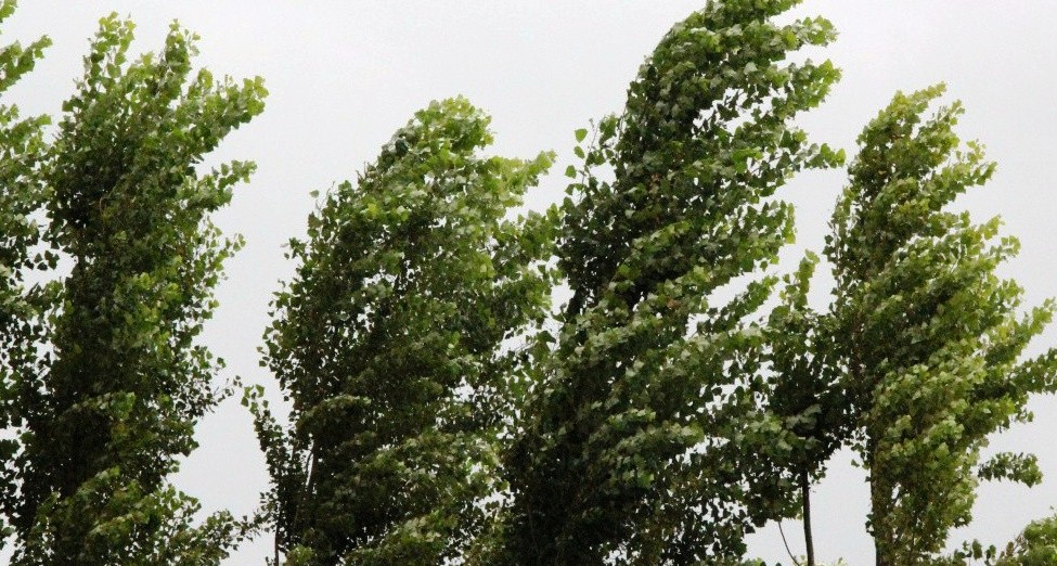 Метеопредупреждение: в Костроме и местами по области ожидается сильный ветер и дождь с грозой
