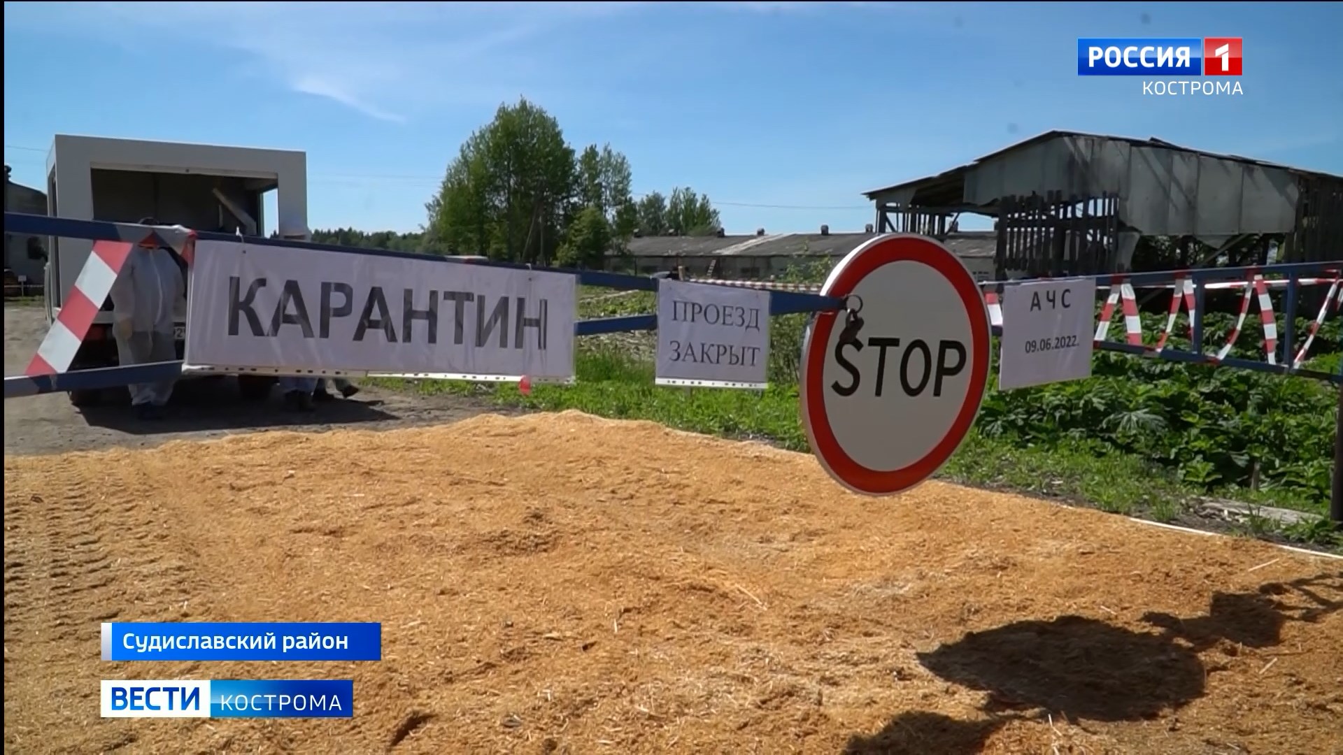 Зараза не пройдет: в Костромской области состоялись большие учения  ветеринаров | ГТРК «Кострома»