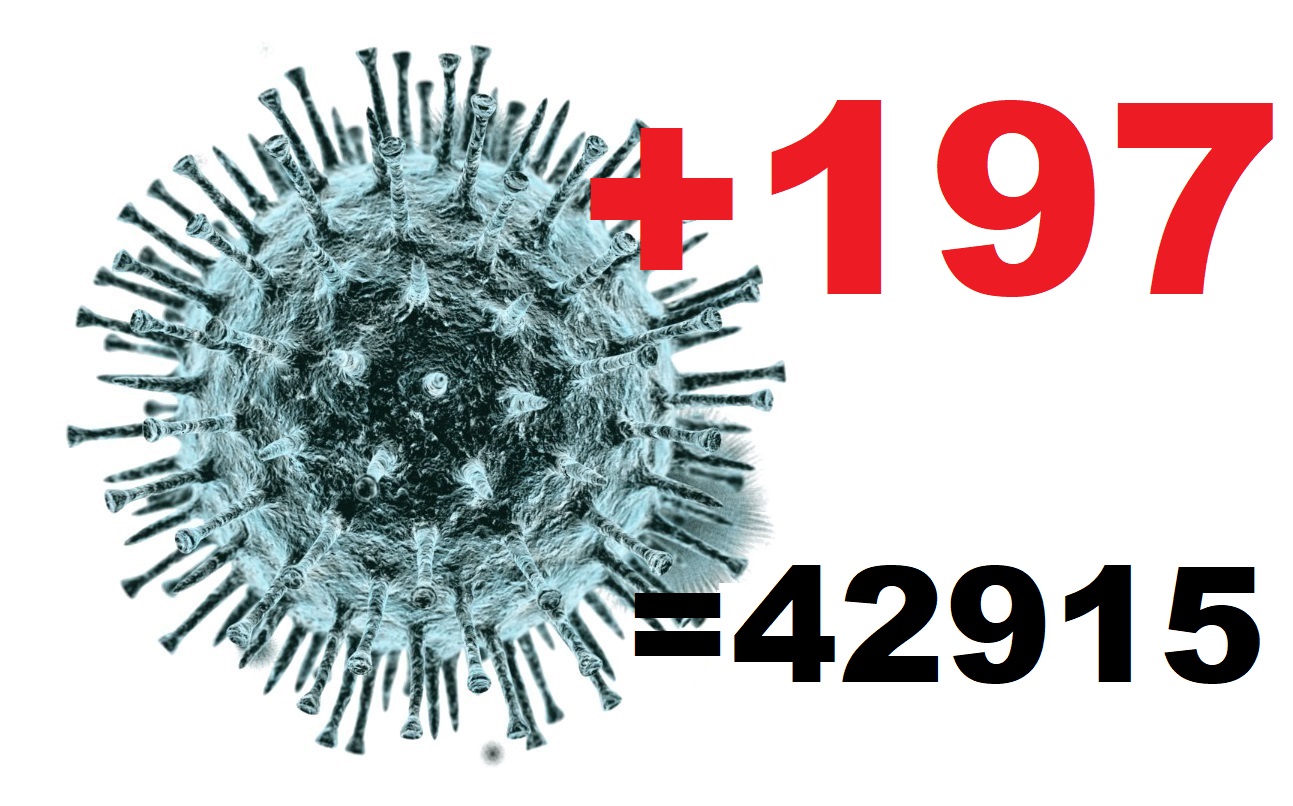За сутки в Костромской области у 197 человек подтвердился коронавирус |  ГТРК «Кострома»