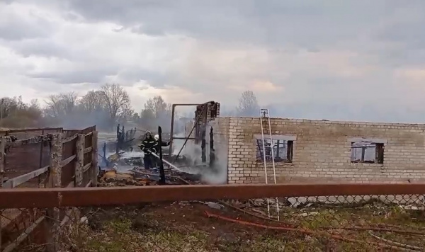 Пожар на сельхозферме под Костромой: 15 животных погибли