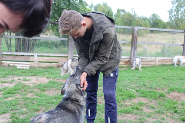 Несовершеннолетних костромских осужденных подростков отправили к собакам на «свободный выгул»