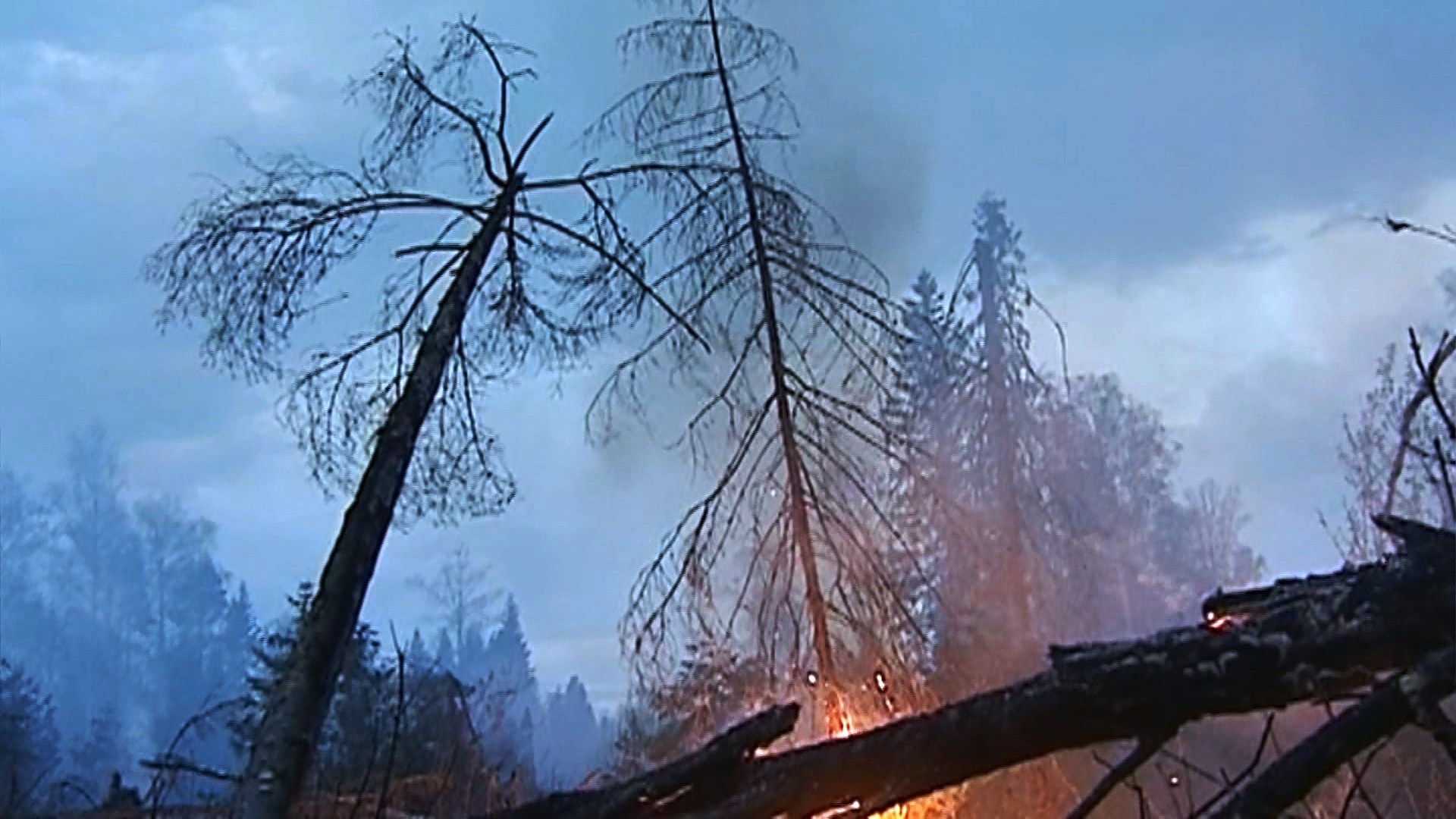 В выходные в Костромской области сохранится высокий класс пожарной опасности