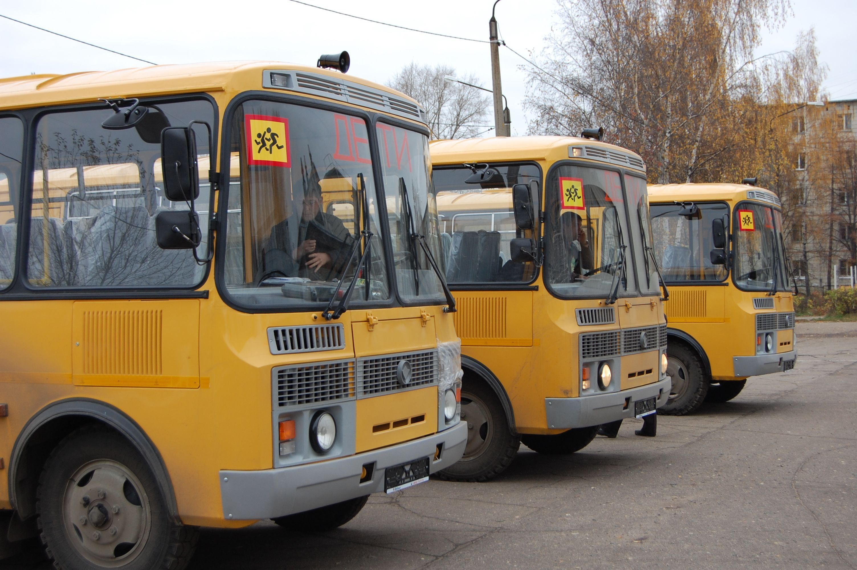 Костромская область получит семь новых школьных автобусов