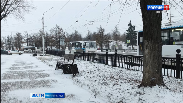 В Ботниковском сквере в Костроме спилили аварийные деревья