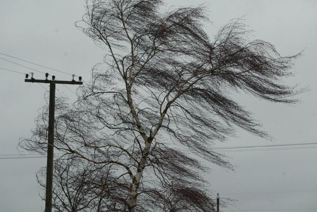 Метеопредупреждение: в Костромской области ожидается гроза и ветер до 17 м/с
