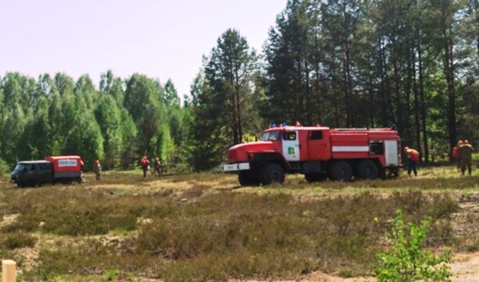 На тушение костромских лесных пожаров выделят дополнительные средства