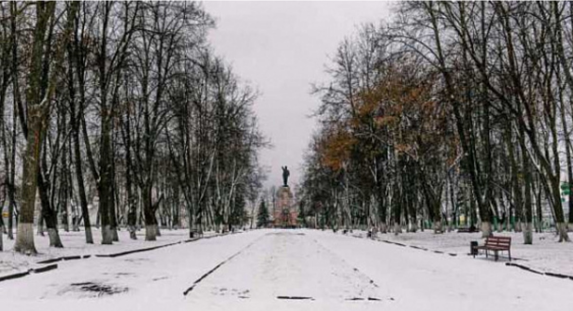 Проект парка «Центральный» в Костроме будет готов к 1 мая