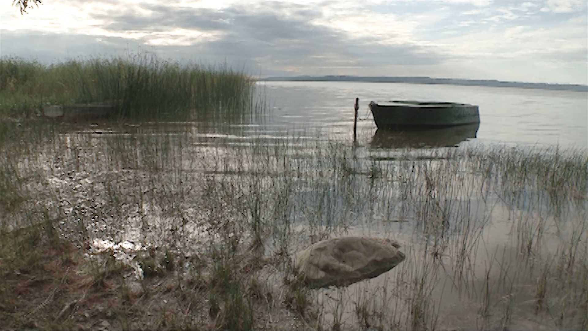Крупнейшее озеро Костромской области будут спасать от обмеления