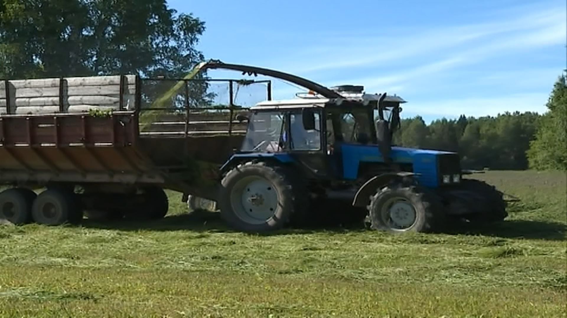 В Костромской области продолжается заготовка кормов