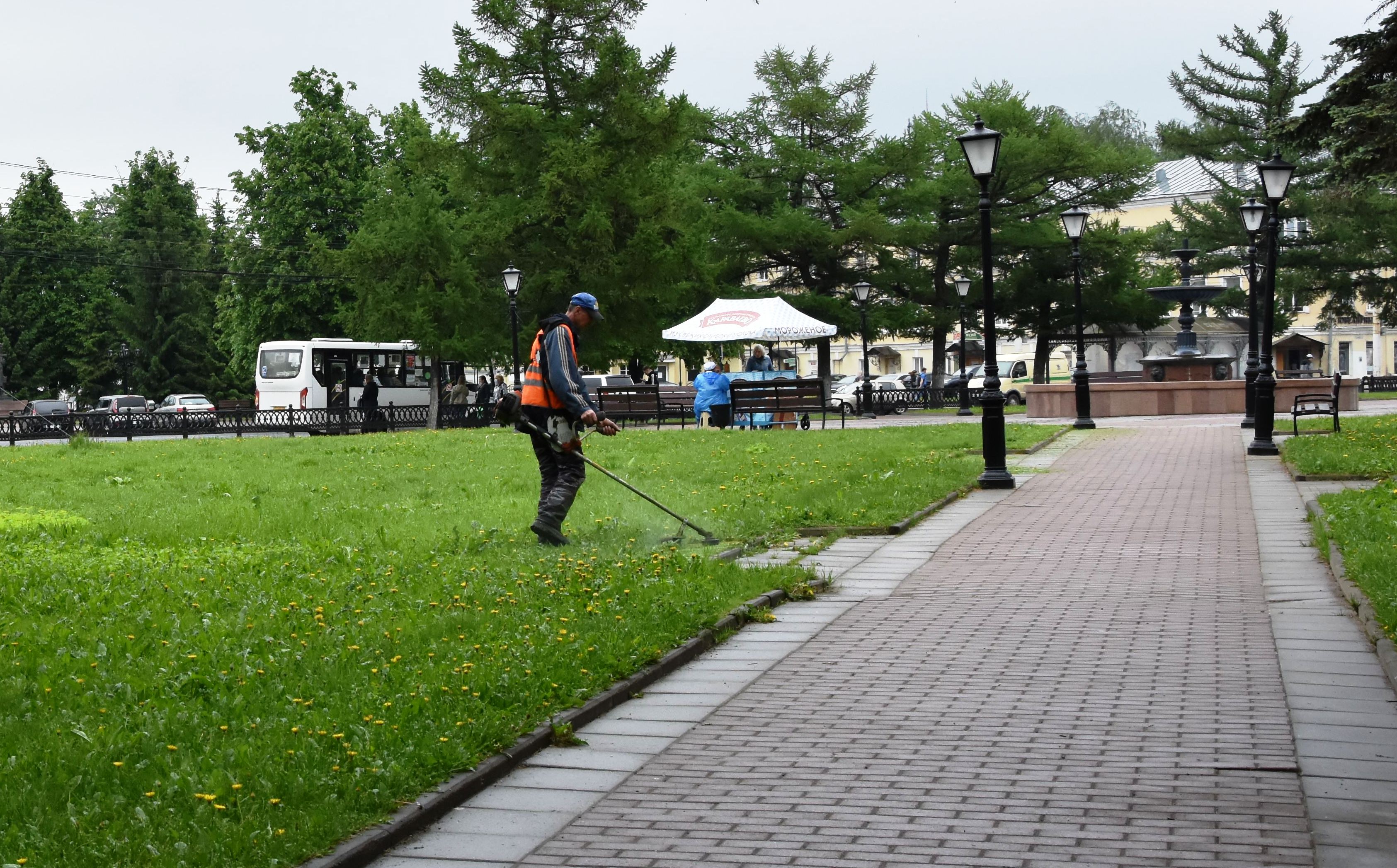 Траву в Костроме скосили на площади почти в миллион «квадратов»