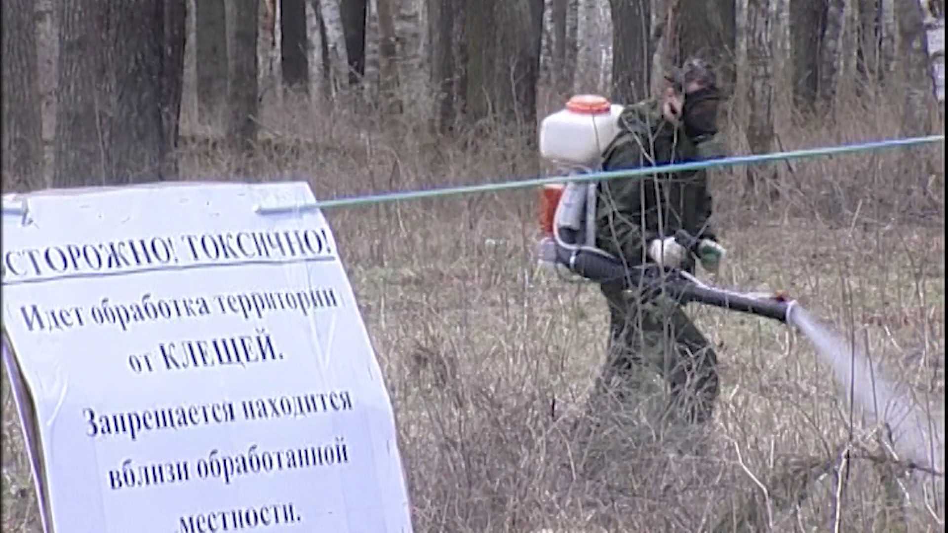 Первый в сезоне случай клещевого боррелиоза зафиксирован в Костромской области