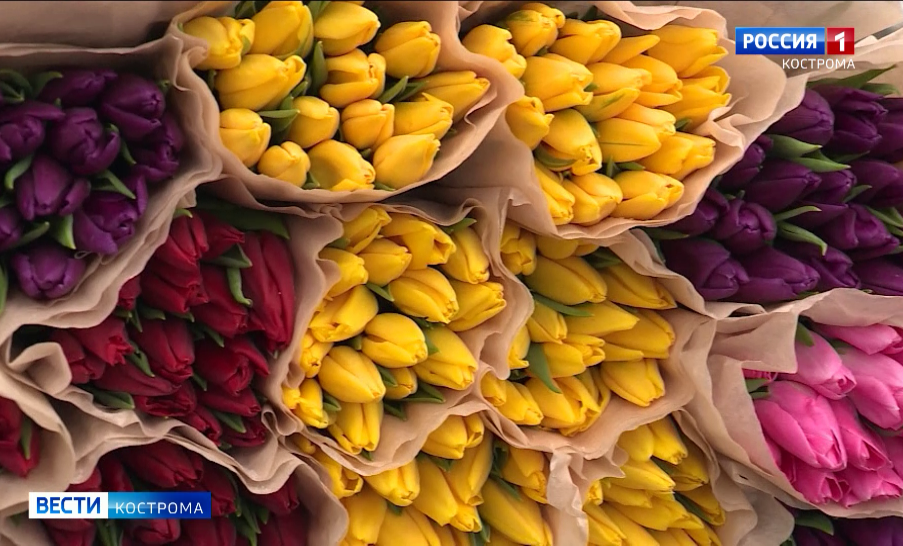 До 18 и дороже: мужчины в Костроме скупают цветы за любые деньги