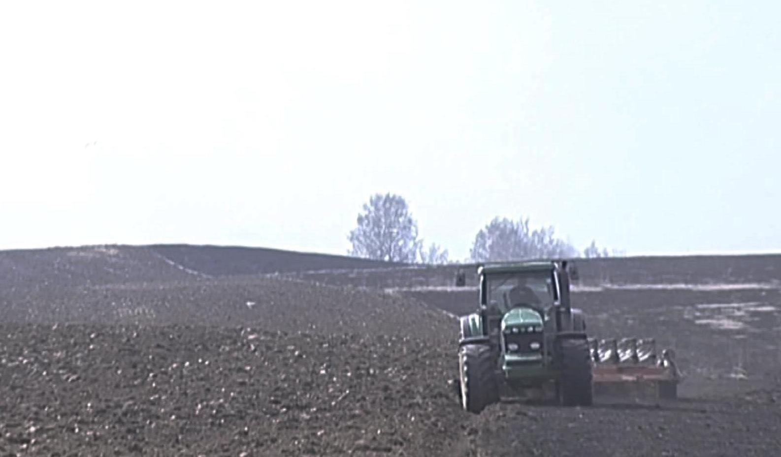 Аграрии Костромской области расширяют площади под посев озимых