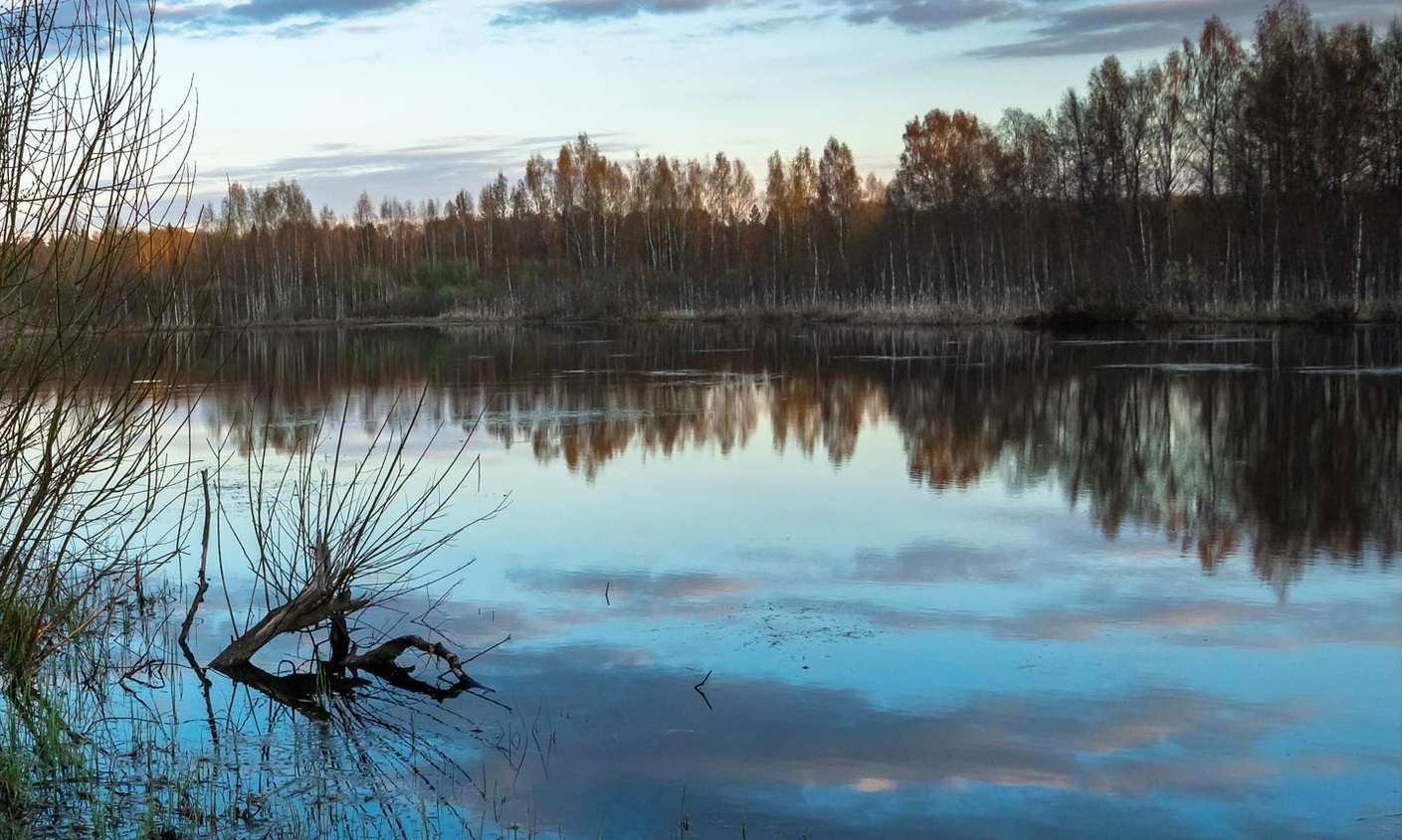 Жители Погоста почистили Барское озеро под Костромой