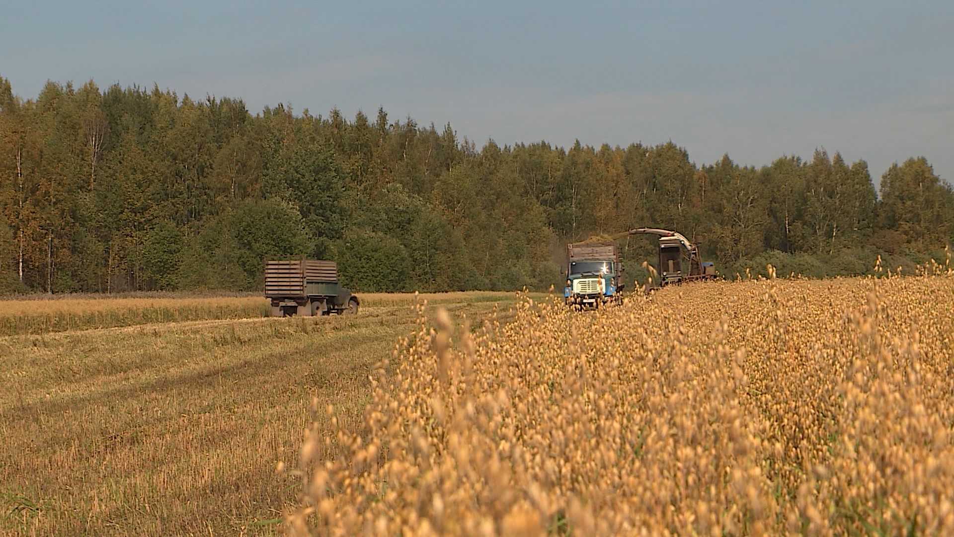 Костромские аграрии перешли к завершению заготовки кормов