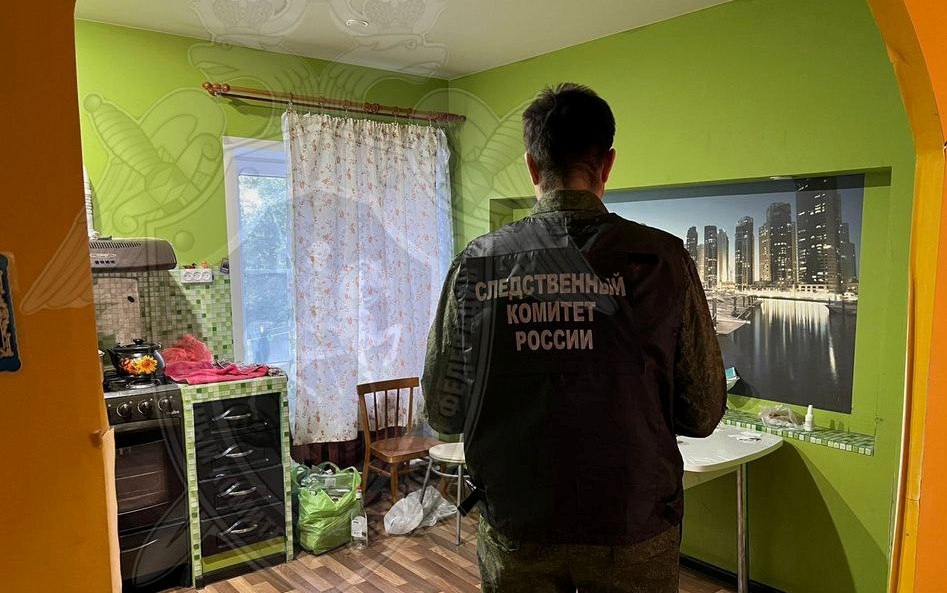 Жительница костромского поселка убила собутыльницу ударом ножа в спину