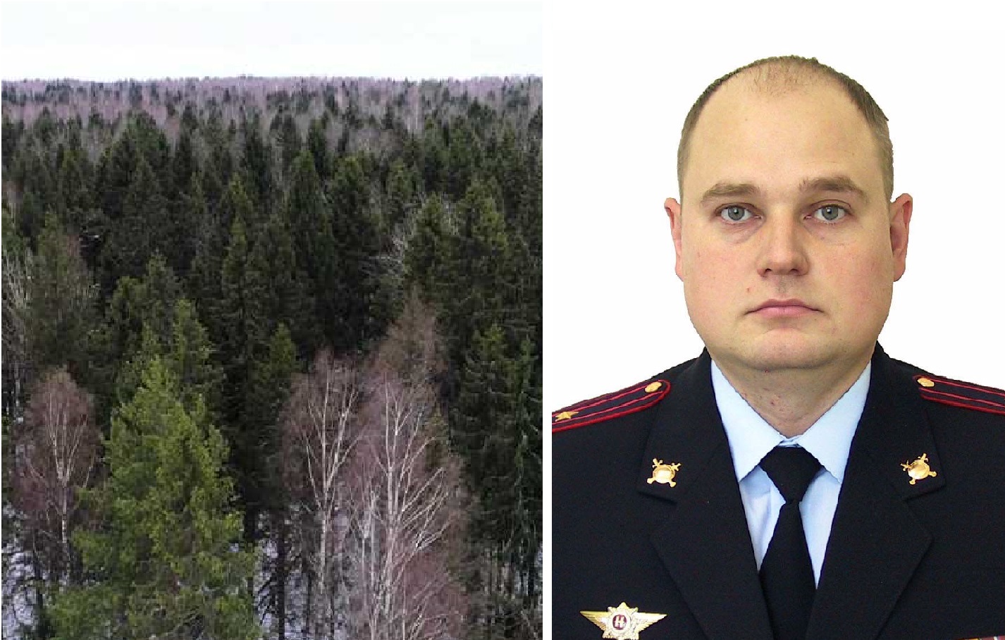 Командовать лесным хозяйством Костромской области будет бывший полицейский