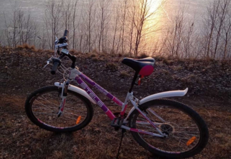 За месяц в Костромской области угнали 14 велосипедов
