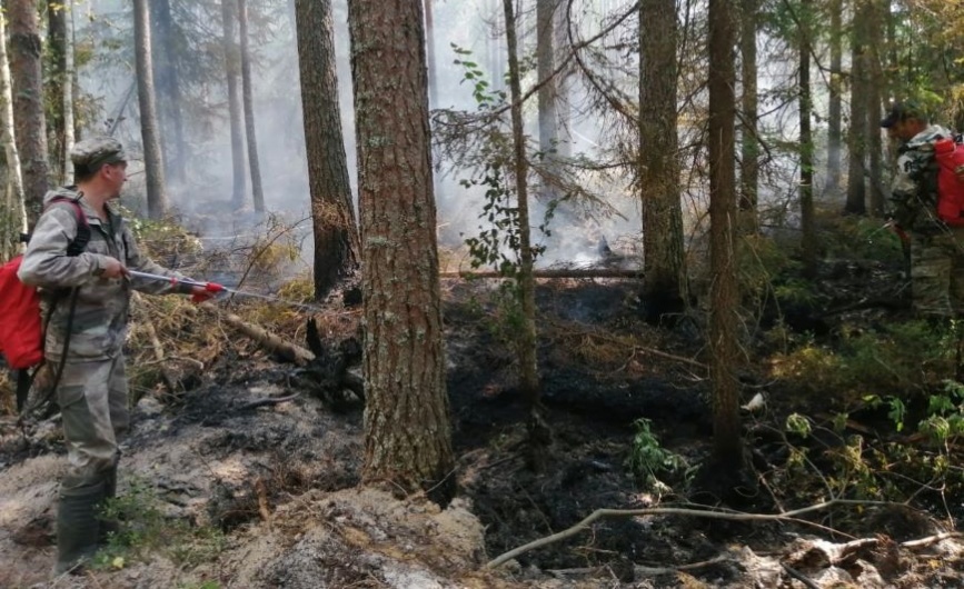 Лесники обнаружили пожар в Парфеньевском районе Костромской области