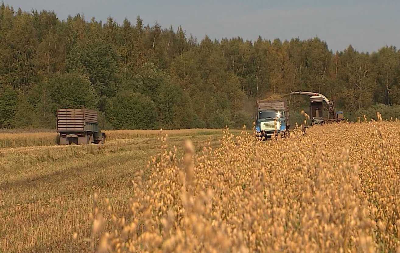 Аграрии Костромской области приступили к уборке урожая