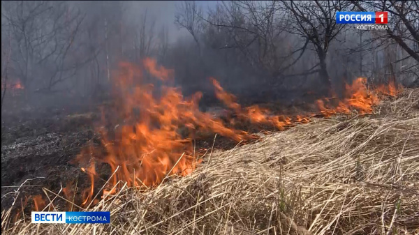 МЧС: за выходные в Костромской области произошло более 40 пожаров