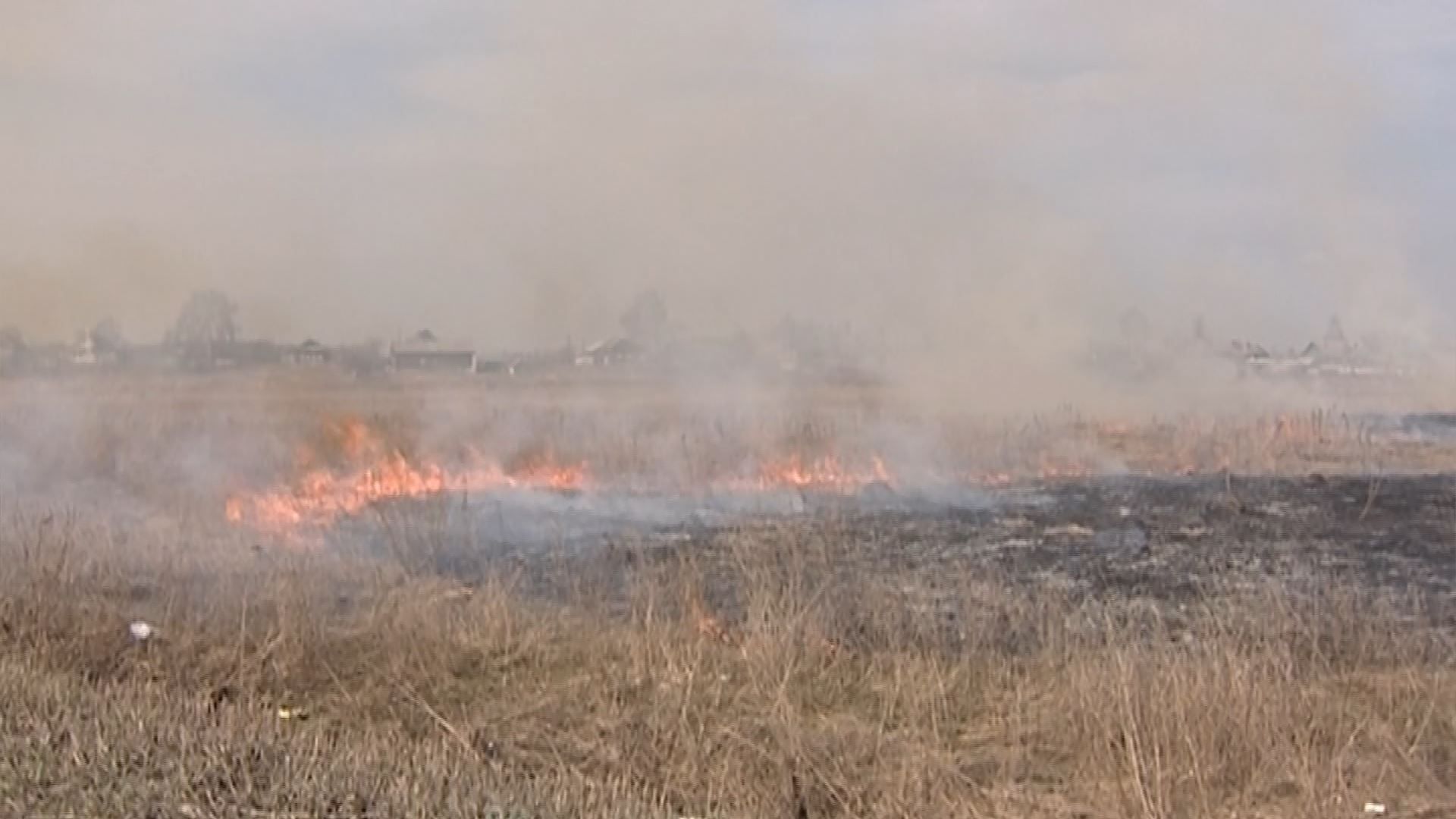 Жители Костромской области за праздники выжгли 664 гектара сухой травы