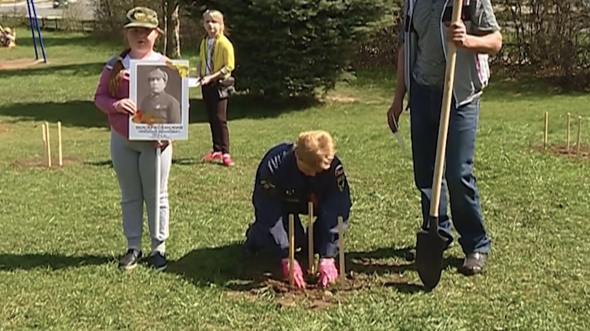 В память о погибших воинах в Костроме посадят молодые деревья