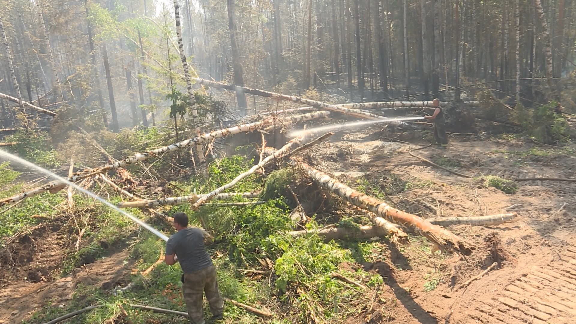 К тушению леса в Костромской области привлекли огнеборцев из трёх районов