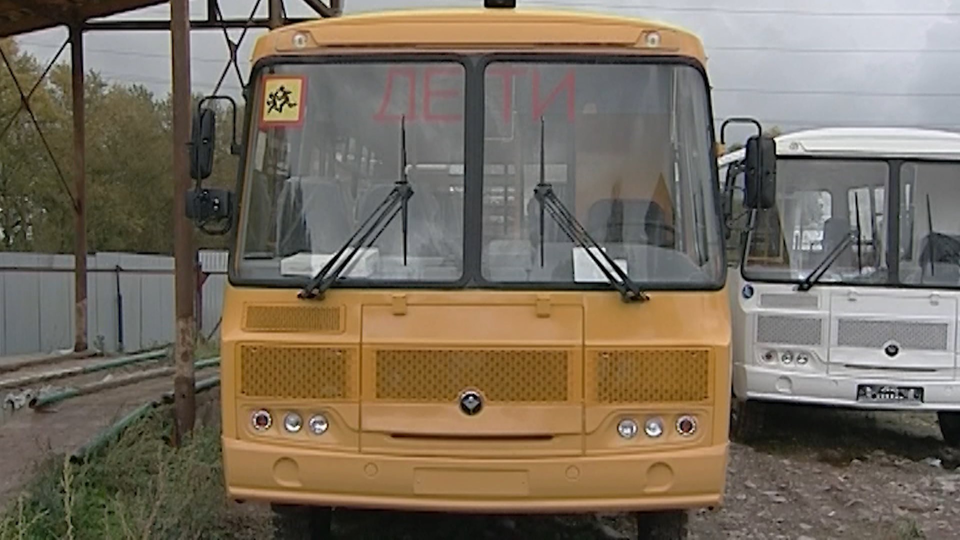 Четверть школьных автобусов в Костромской области не отвечают требованиям безопасности