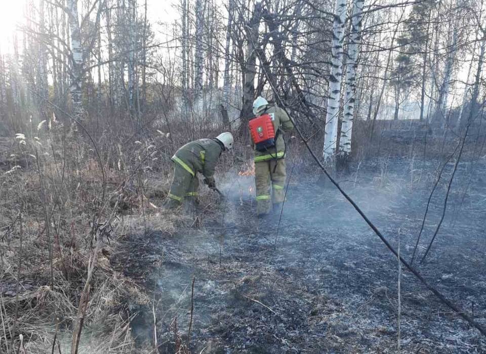 Выжженная земля: в Костромской области продолжает гореть сухая трава