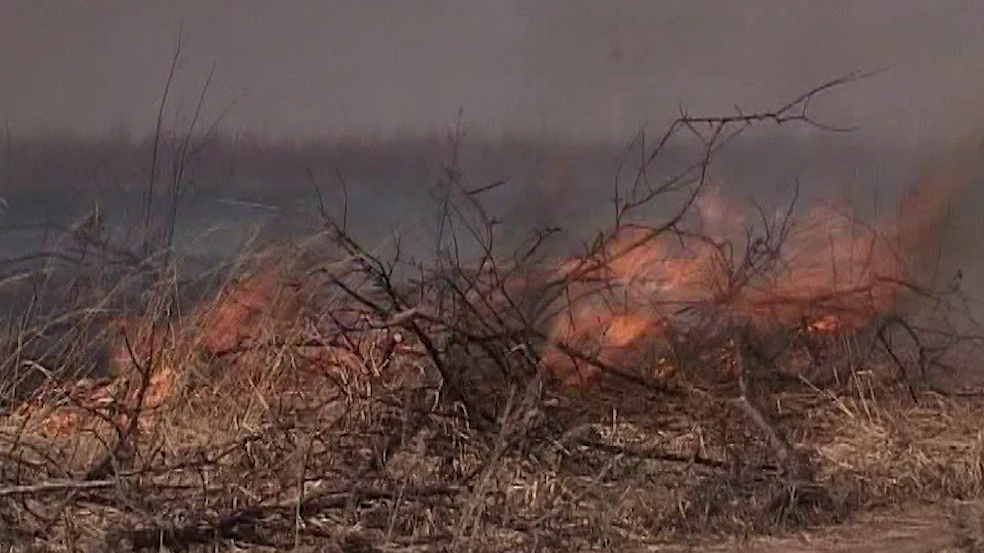 Более 100 гектаров выгорело за неделю в Костромской области
