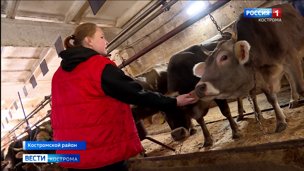 Работники сельского хозяйства в Костромской области отметили свой профессиональный праздник