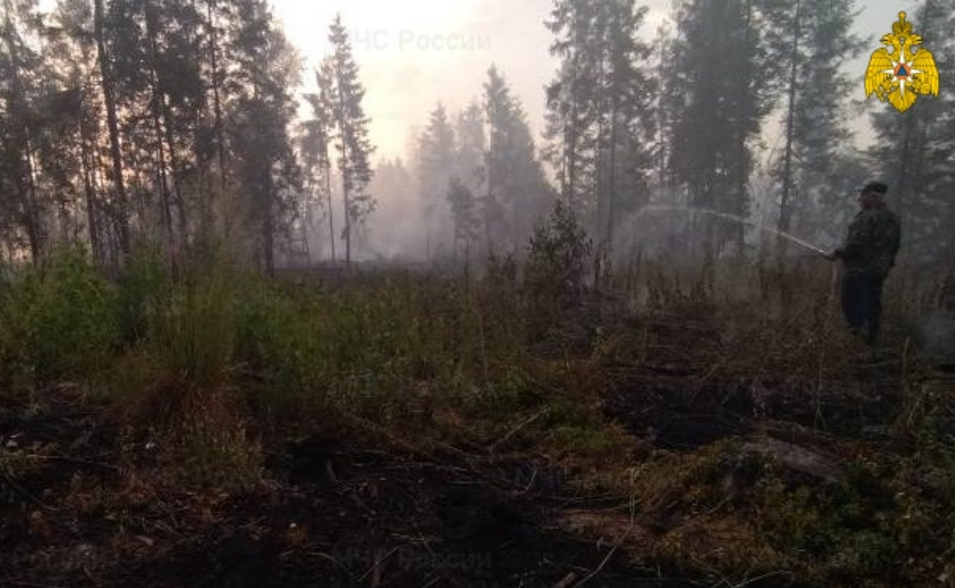 В Костромской области тушат ещё два лесных пожара