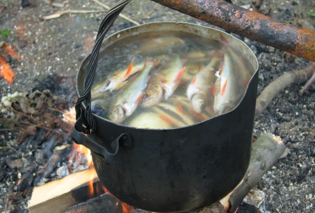 Костромские рыболовы на соревнованиях съели весь свой улов