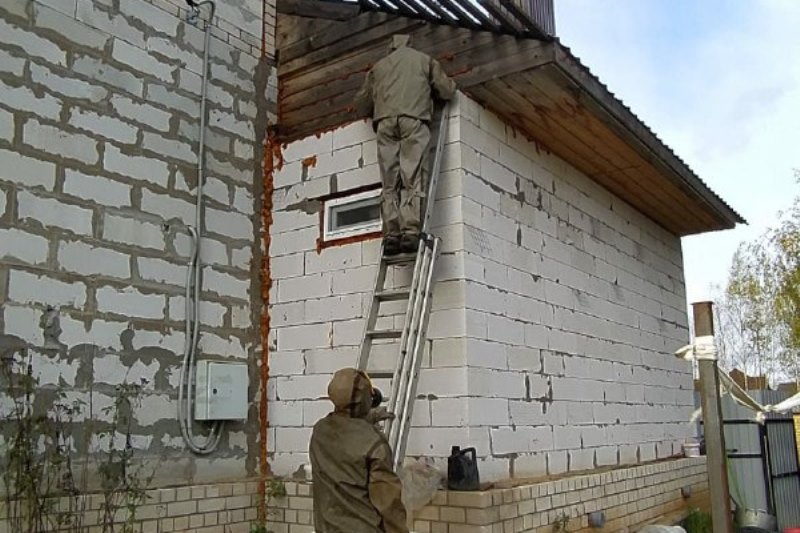 Спасатели избавили частный дом в Костромском районе от огромного осиного гнезда