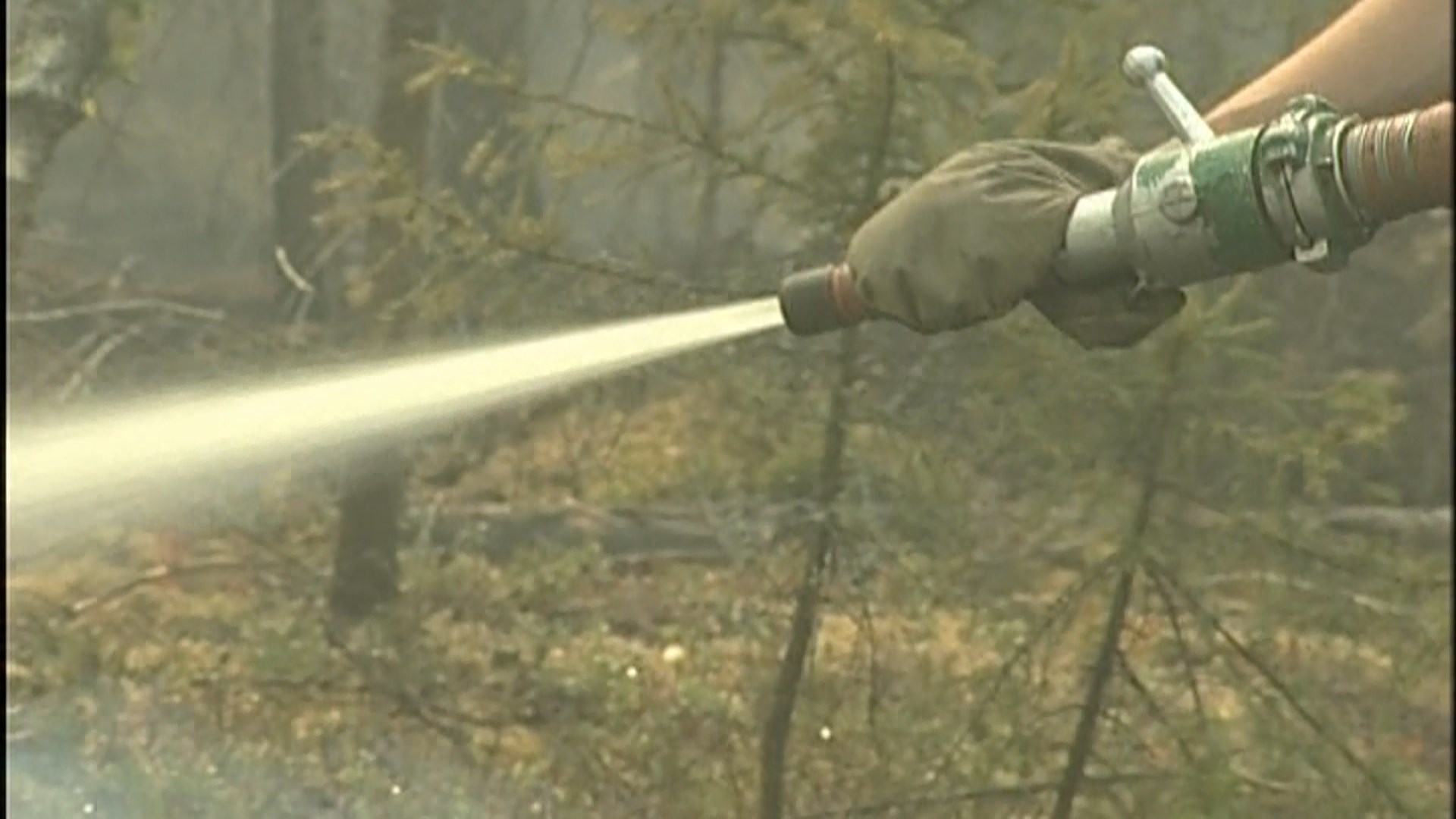 Пять лесных пожаров тушили в выходные в Костромской области