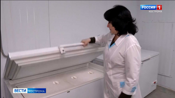 Костромские фармацевты вооружились холодильниками для ковид-вакцины