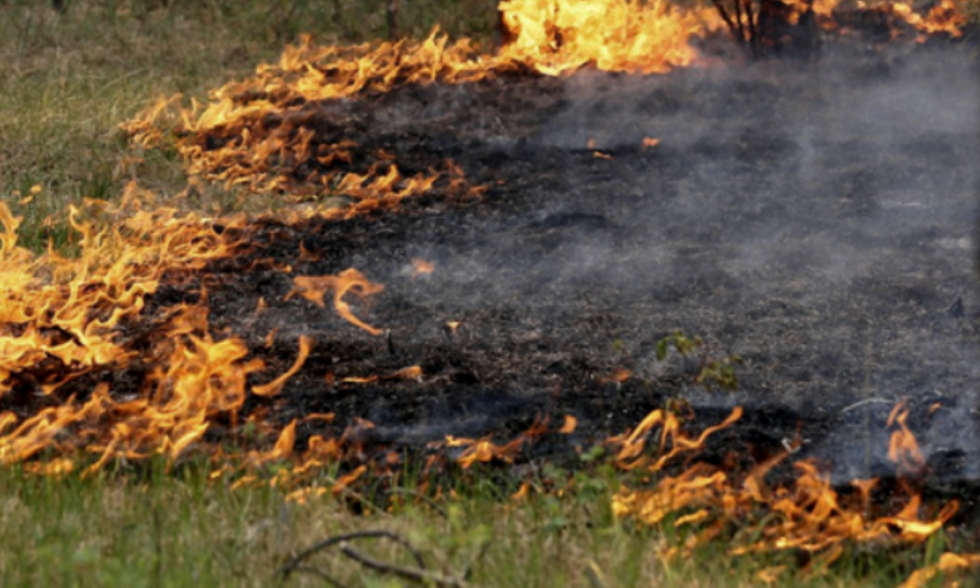 Под Костромой тушат лесной пожар на площади 8 гектаров