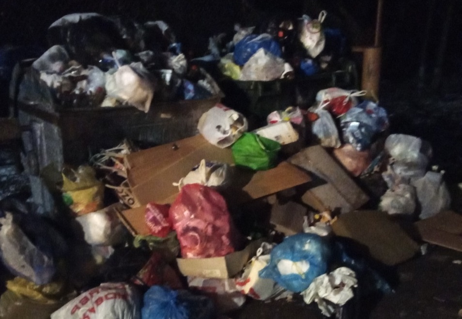 В поселке Санатории Костромской подход к мусору нашёлся через горадминистрацию