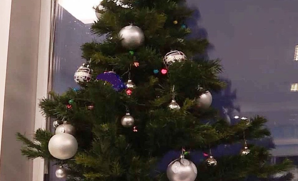 Никакого праздника: костромичка погорела на покупке новогодней ёлки