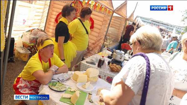 Пробовали, оценивали, катали и хвалили: в Костроме прошел «Фестиваль сыра»