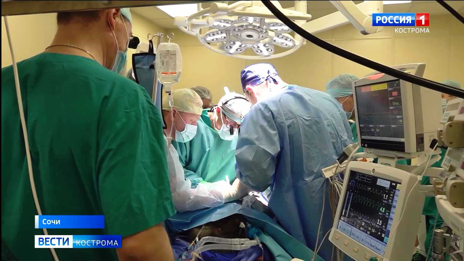 Костромские онкологи рассказали об уникальной операции на мозге обезьяны