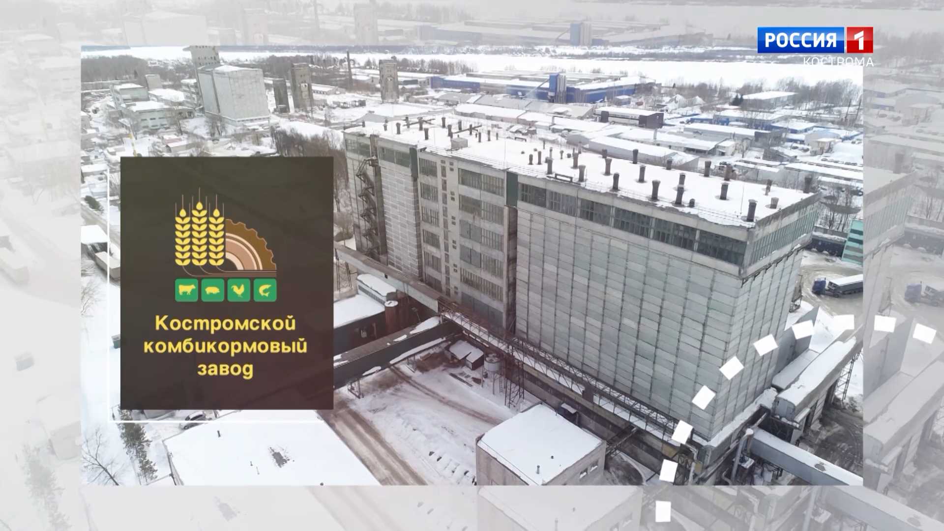 Костромской комбикормовый завод: путь из «двоечников» в «отличники»
