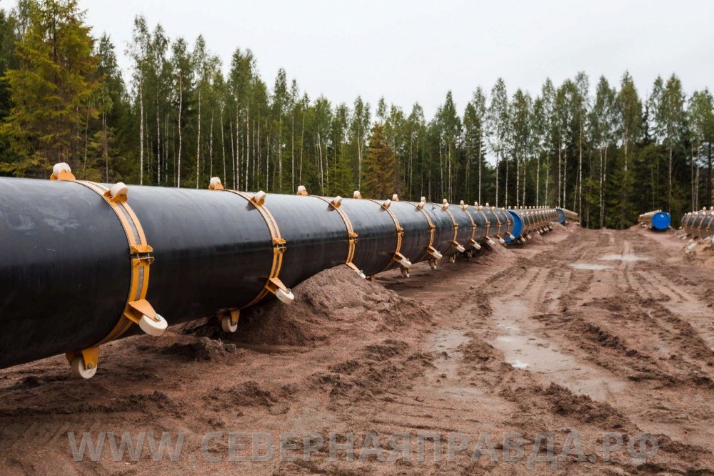 Газпром сообщил, когда газ доберется до костромской глубинки