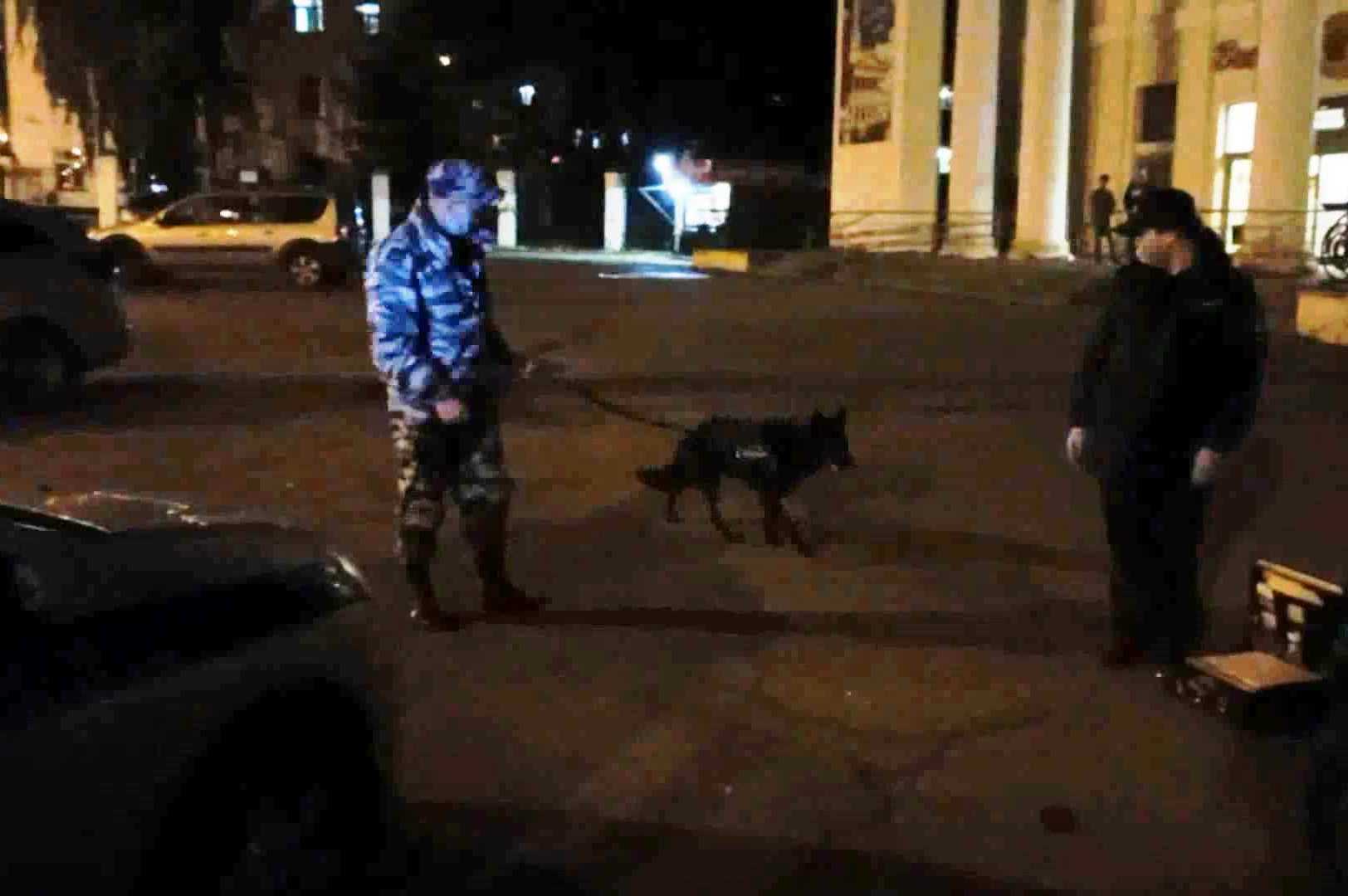 Найти украденный у костромича «Айфон» помогла полицейская собака