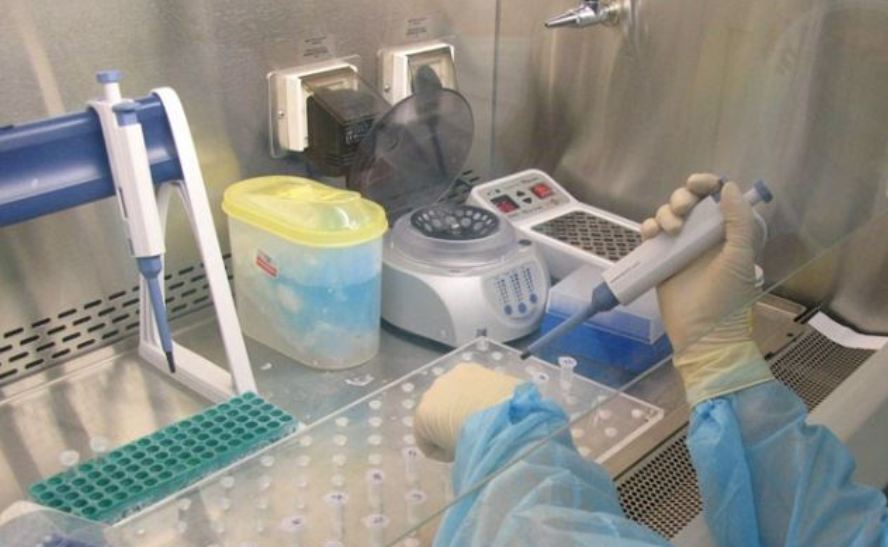 Специалисты не обнаружили вируса АЧС в других цехах костромского комплекса «Шувалово»